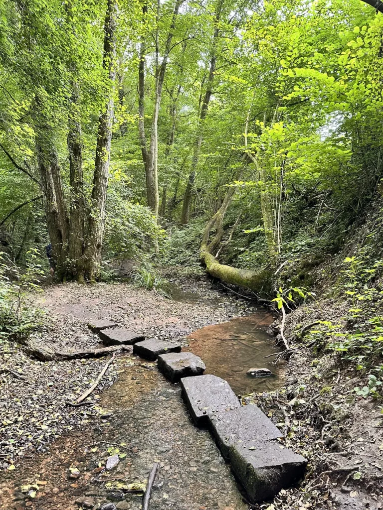 Bachüberquerung über Steine auf dem Wasserpfad im Sulzbachtal bei Lahr