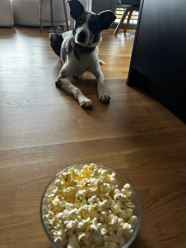 Mavi sitzt auf dem Boden vor einer Schüssel Popcorn