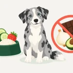 Illustration mit geeigneten und ungeeigneten Lebensmitteln für Hunde