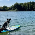 Mavi auf einem Stand-up-Paddleboard im Baggersee Schuttern