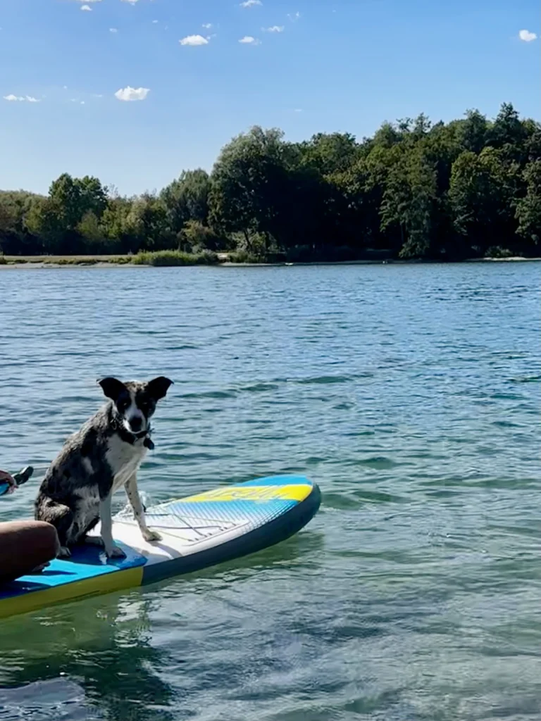 Mavi auf einem Stand-up-Paddleboard im Baggersee Schuttern